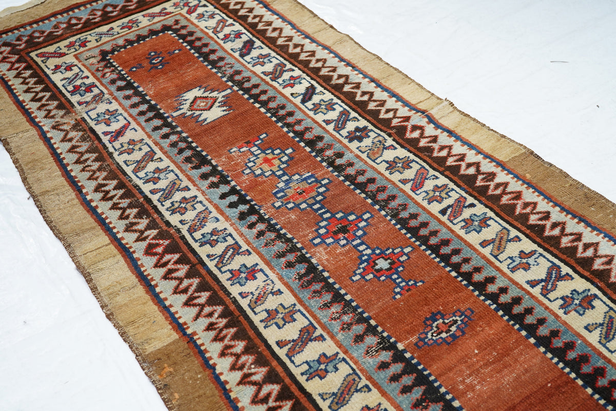Antique Bakhshayesh Runner 3'6'' x 9'7''