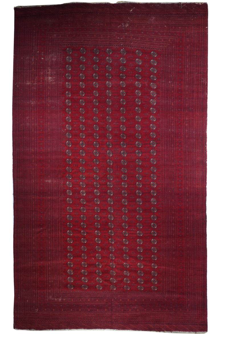 Vintage Afgan Turkmen Rug 10'0