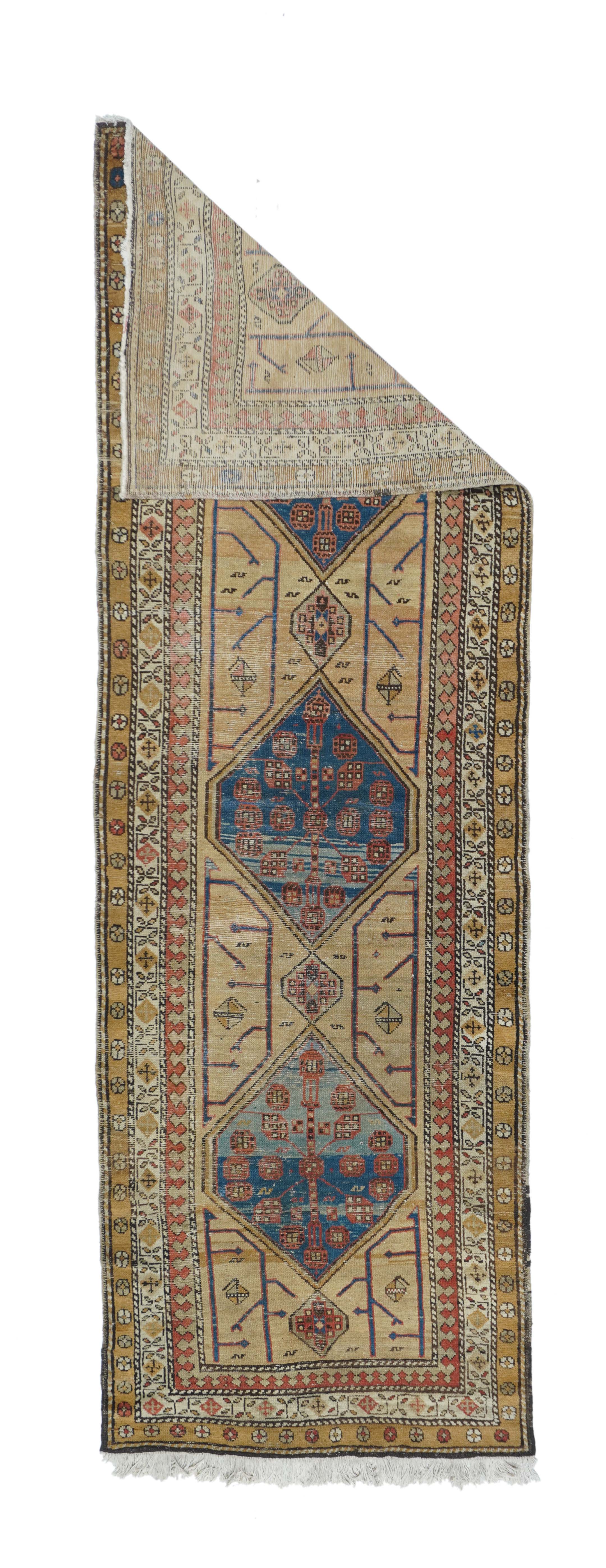 Antique NW  Runner 3'1'' x 10'2''
