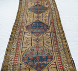 Antique NW  Runner 3'1'' x 10'2''