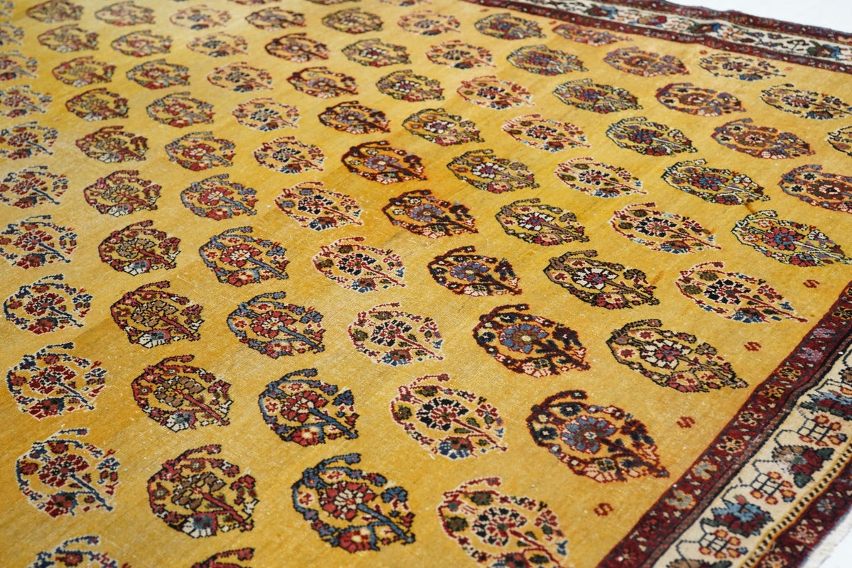 Antique Gashgai Rug 5'7'' x 8'2''
