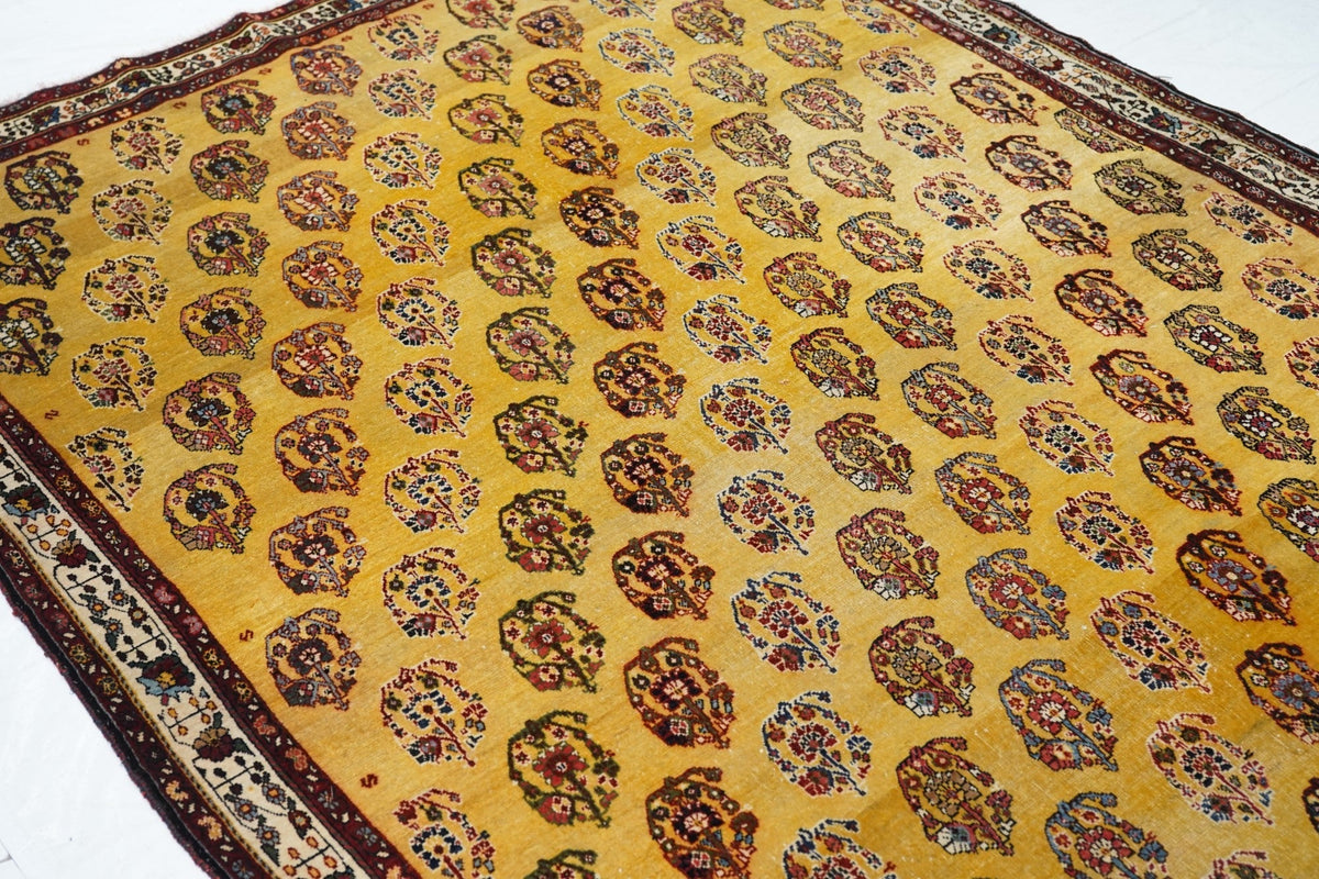 Antique Gashgai Rug 5'7'' x 8'2''