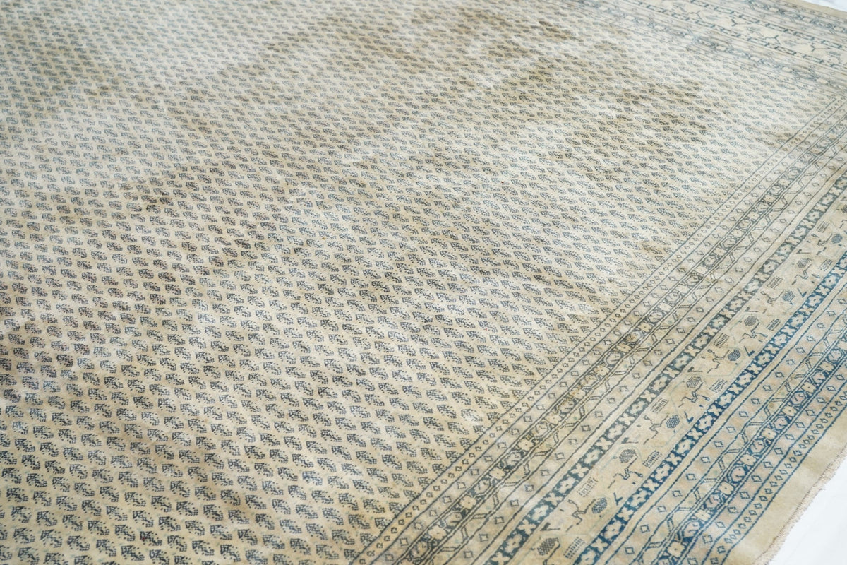 Vintage Seraband Rug 9'11'' x 12'2''