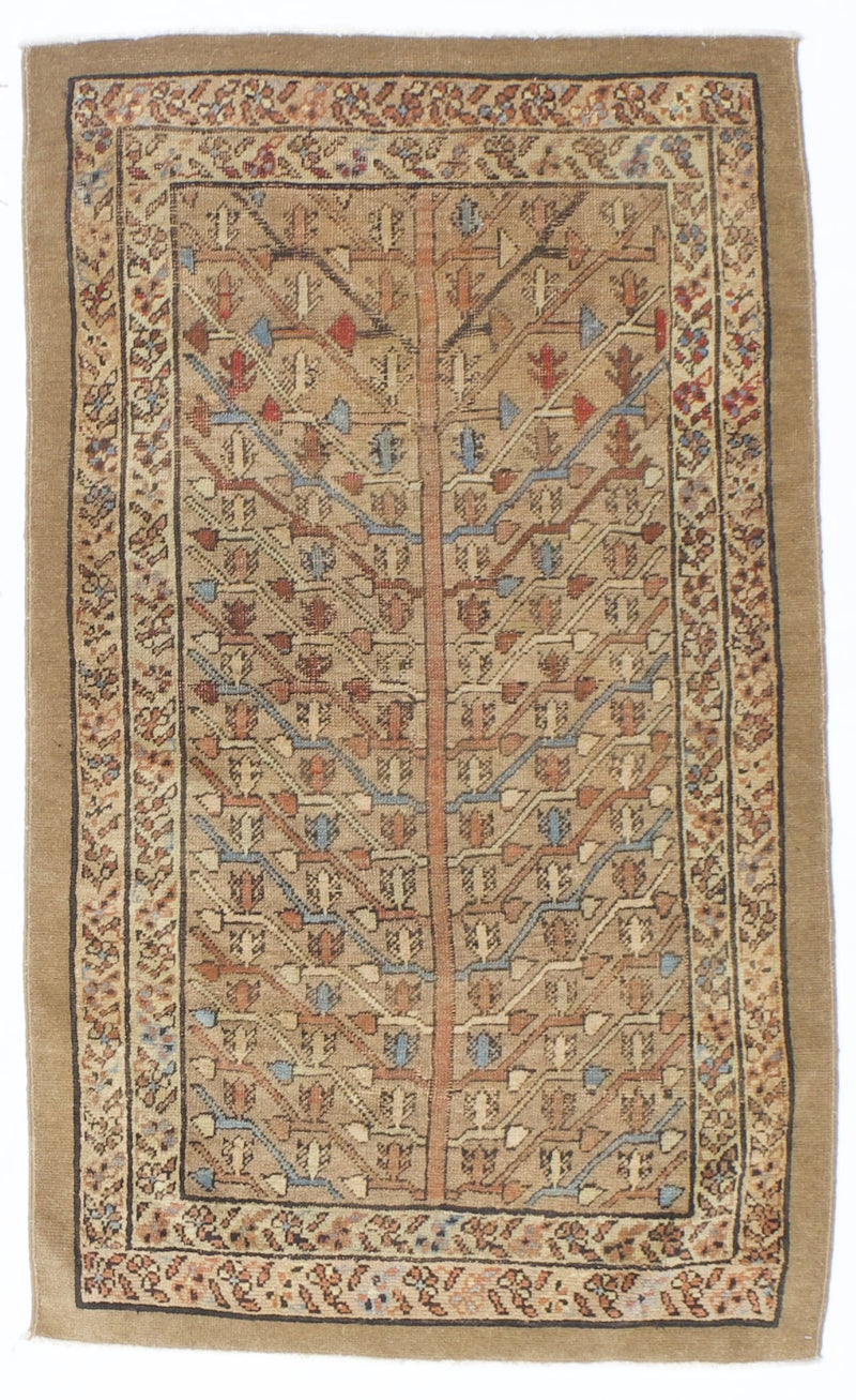 Antique Bakhshayesh Rug 3' 2