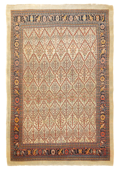 Antique Bidjar Rug 7'9'' x 11'2''
