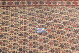 Antique  Bakhshayesh Rug 5'2" x 9' 4''