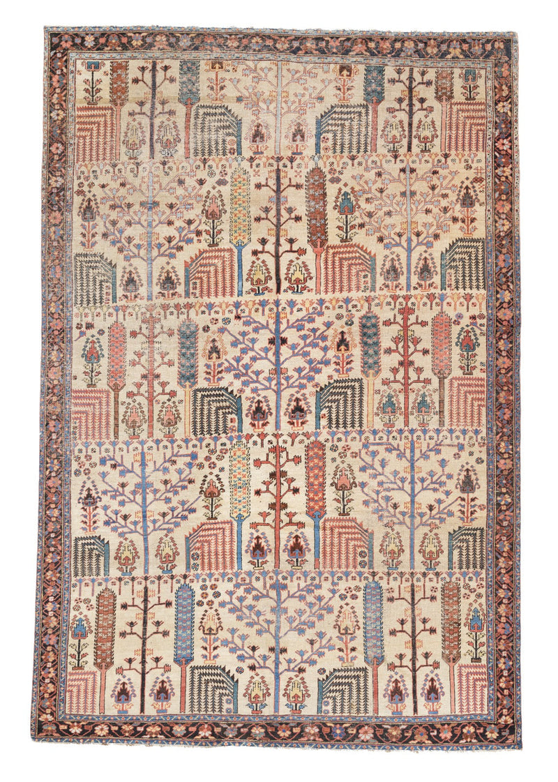 Antique  Bakhshayesh Rug 7' 8'' x 11' 7''