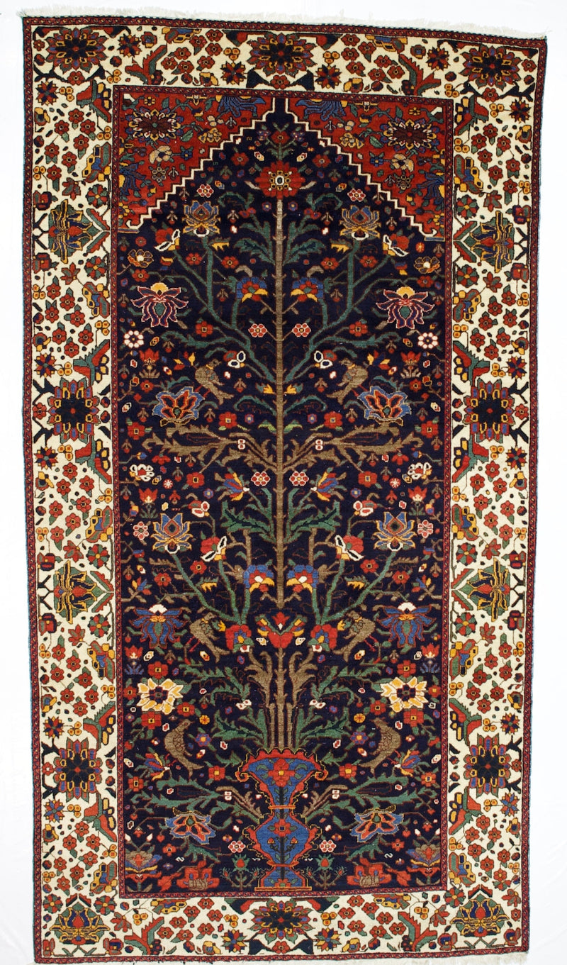 Antique Bakhtiari Rug 6' 1