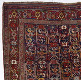 Antique Khamseh Rug 5' 0" x 8' 9"