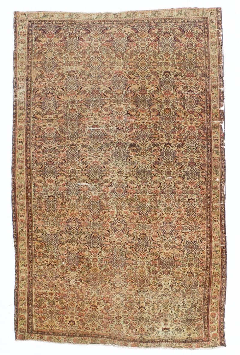 Antique Farahan Rug 3'9