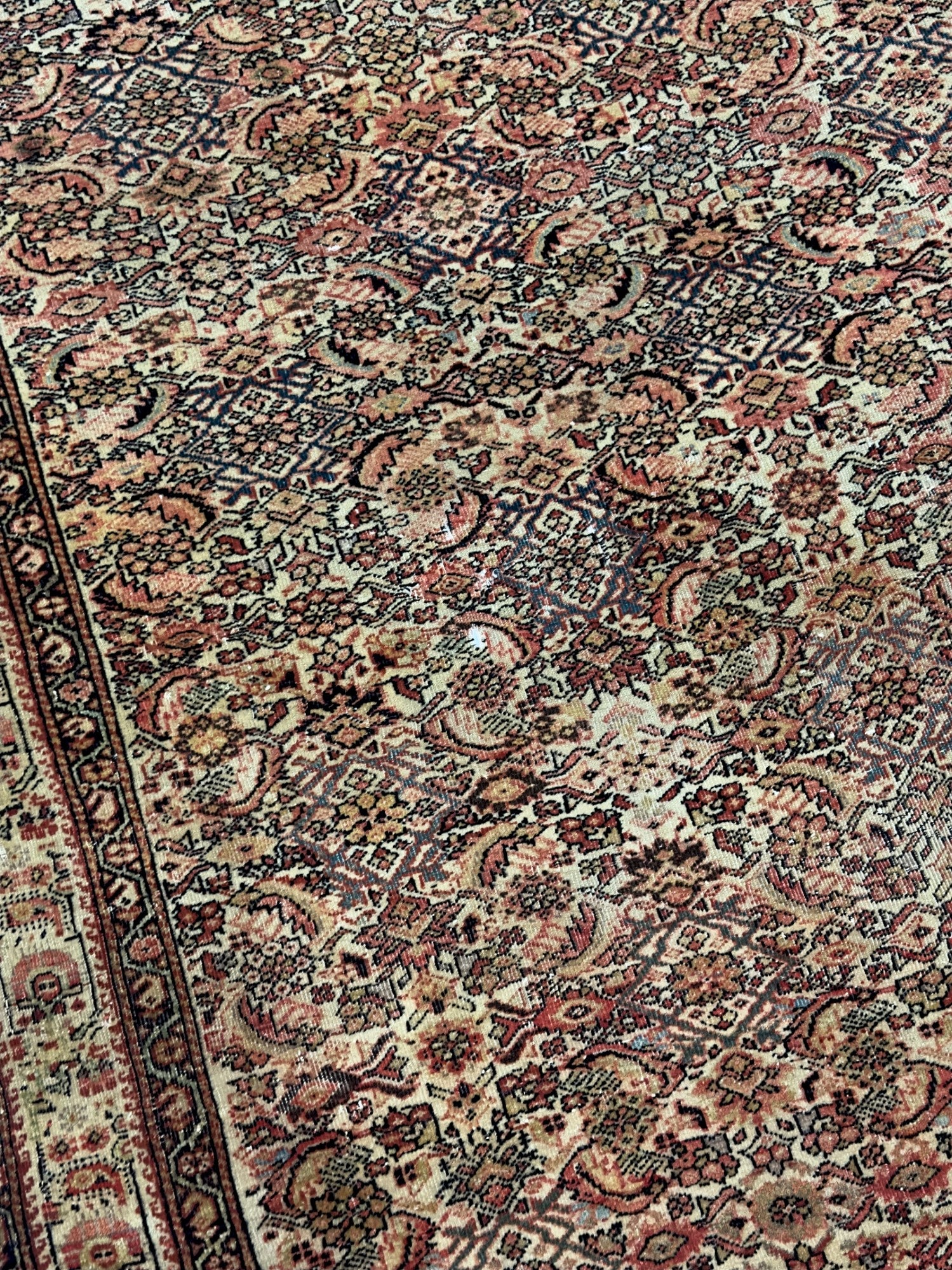 Antique Farahan Rug 3'9" x 5' 10''