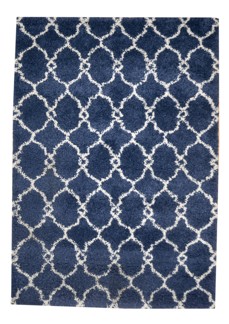 Shag Rug 5'3
