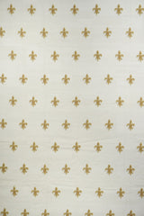 French Aubusson Design Rug 12'0" x 15'0"