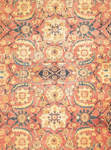 Antique Indian Agra Wool Rug 8'11" x 12'1"