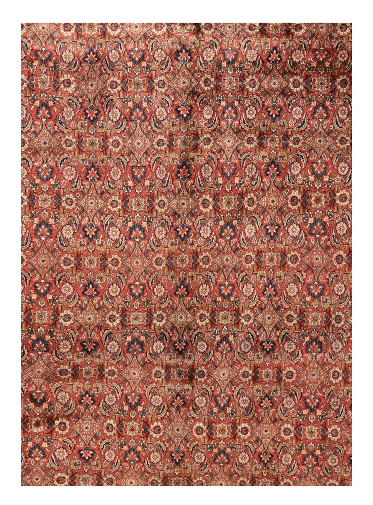 Herati Rug 9'2'' x 12'0''