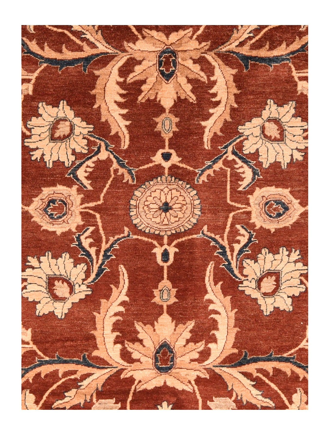 Pak  Rug 9'1'' x 12'1''