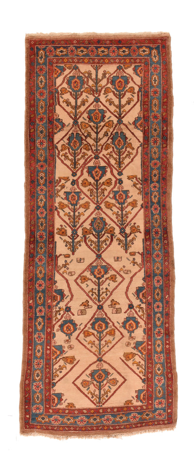 Malayer Rug 3'6'' x 9'0