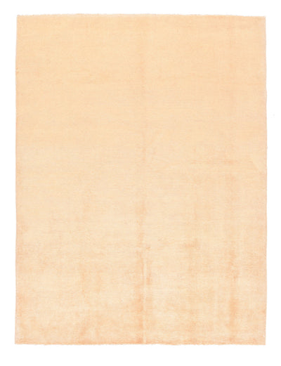 Gabbeh Rug 4'11'' x 6'6''