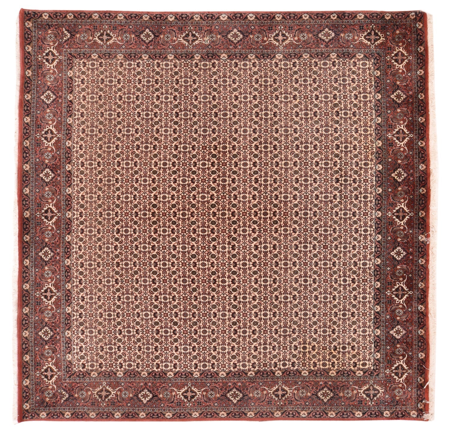 Vintage Brown Bidjar Rug 8'3'' x 8'3''