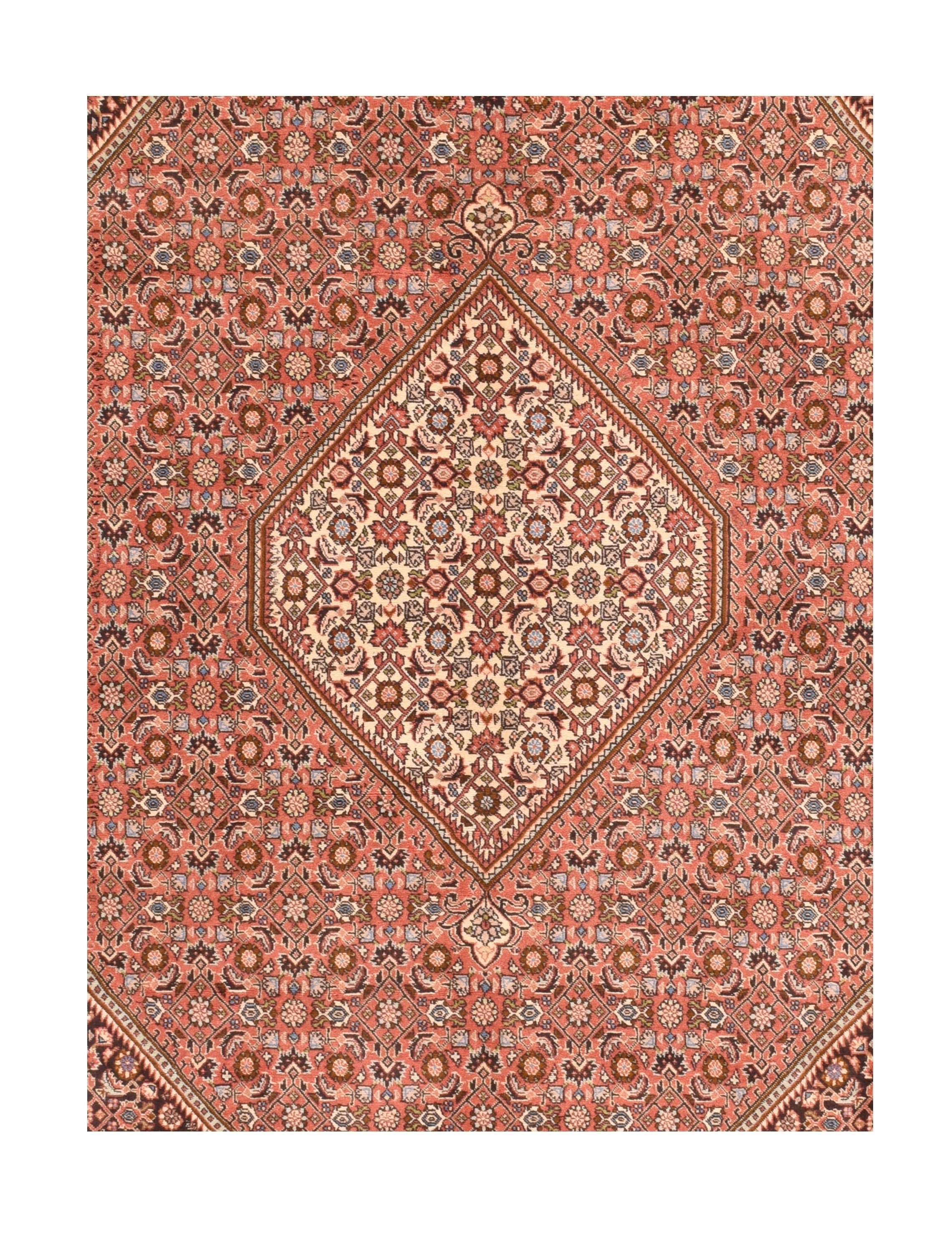 Bidjar Mahi Design Rug 6'8'' x 10'0"