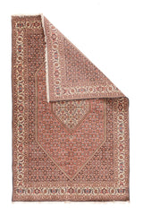 Bidjar Mahi Design Rug 6'8'' x 10'0"