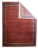 Vintage Bidjar Rug 9'3'' x 12'5''