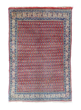 Saraband Wool on Cotton 3'x5'