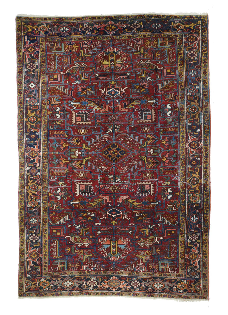 Persia Heriz Wool on Cotton 6'7''x9'9''