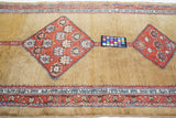 Antique North West Rug 3'4'' x 10'1''