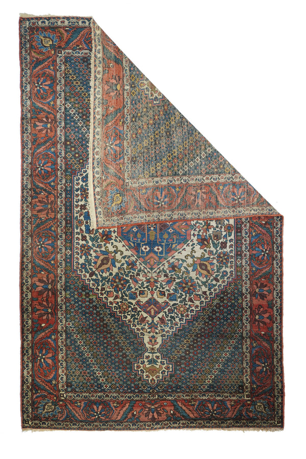 Persia Bakhtiari Wool on Cotton 6'8''x10'3''