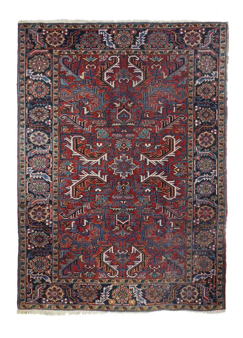 Persian Heriz Wool on Cotton 6'7''x9'