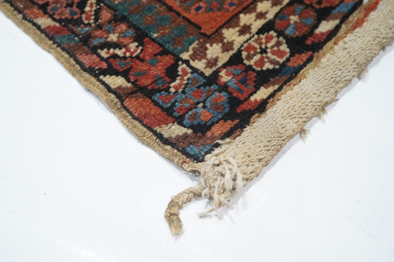 Antique Bakshayesh Rug 3'4'' x 17'3''