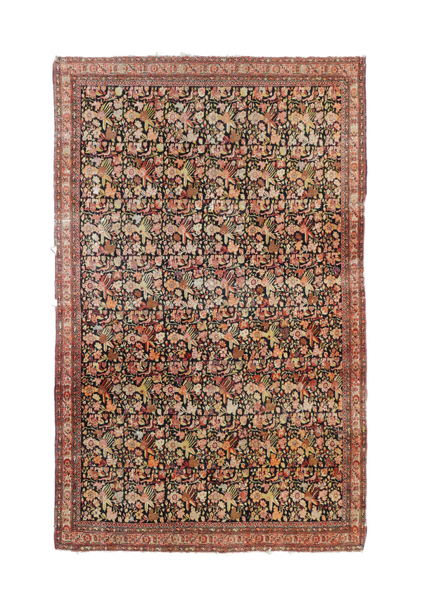 Sarouk Wool on Cotton 3'11''x6'3''