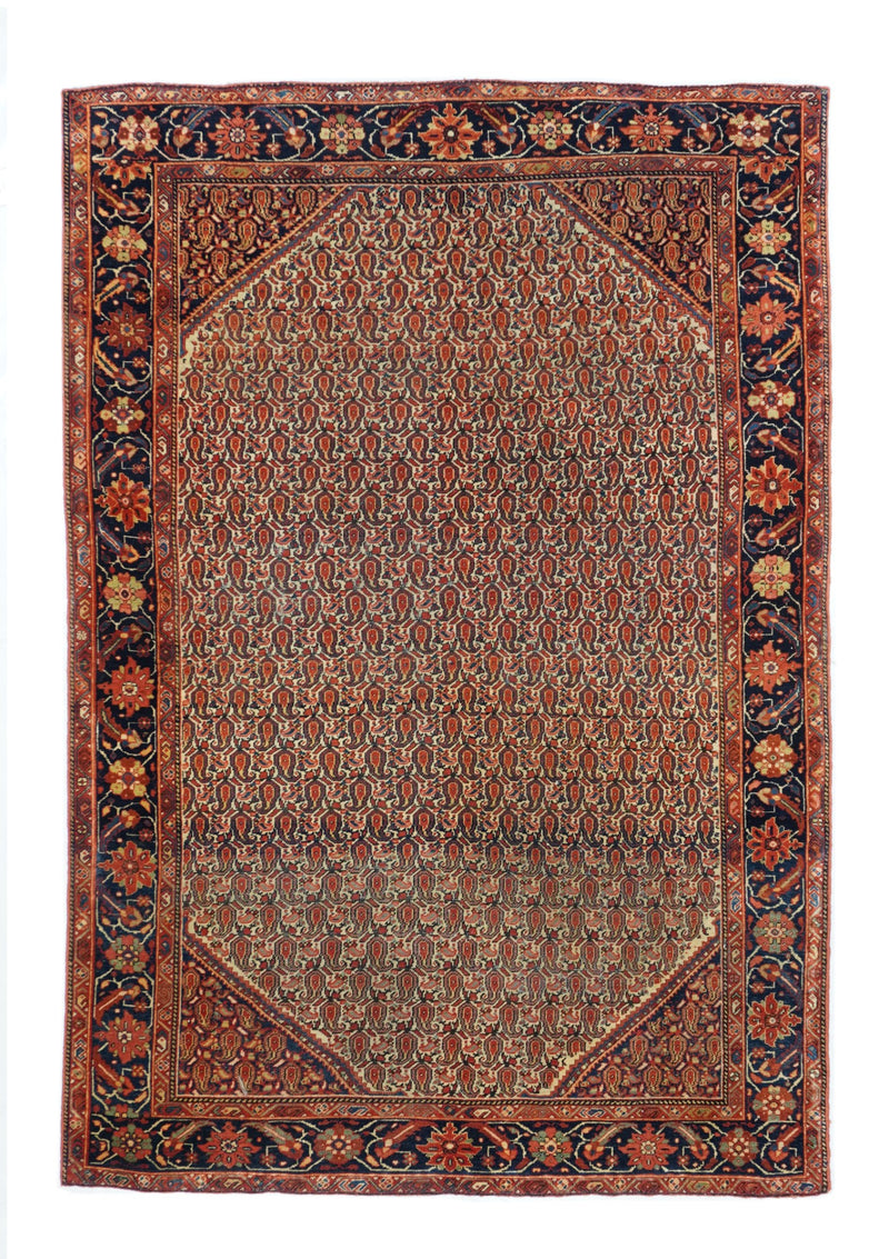 Persia Wool on Cotton 4'4''x6'7''