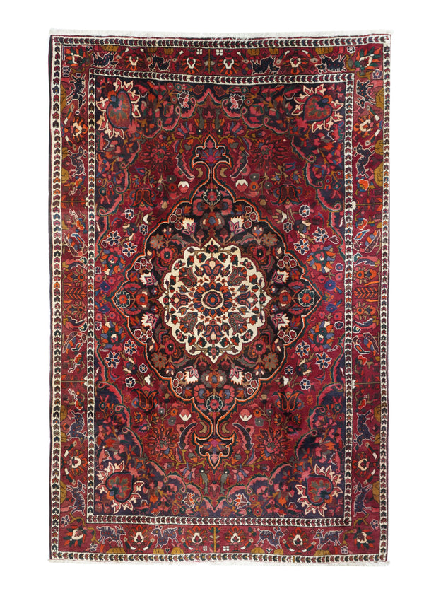 Persia Bakhtiari Wool on Cotton 6'10''x10'2''