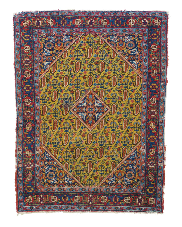 Persia Seneh Wool on Cotton 2'10''x3'10''