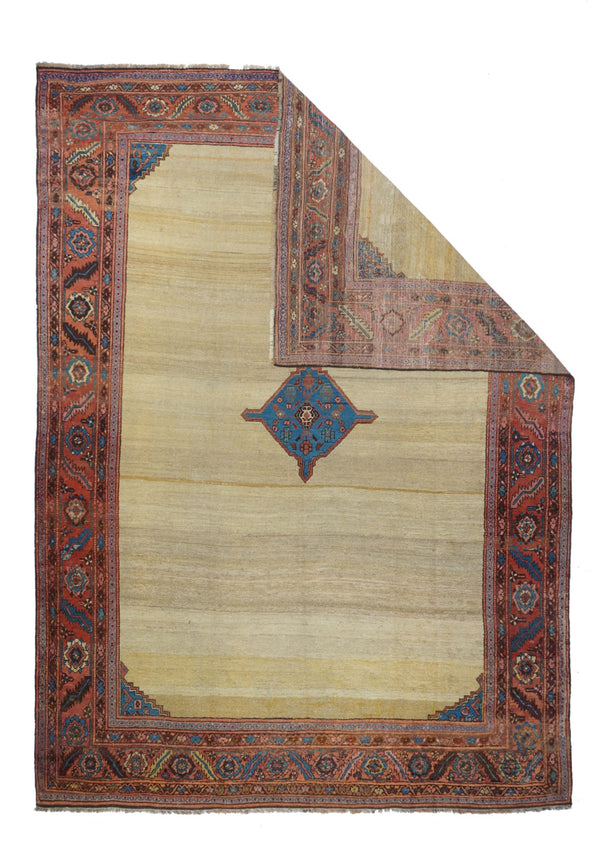Antique Bakhshayesh Rug 9'1'' x 11'2''