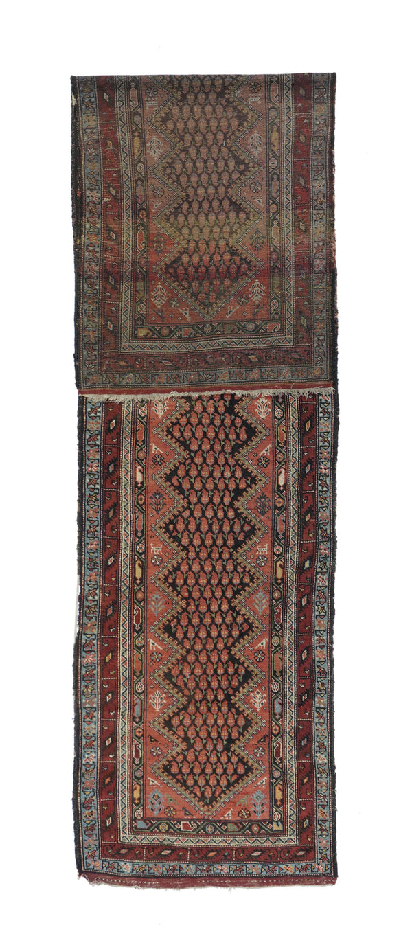 Persia NW Persian Wool on Cotton 3'2''x13'2''