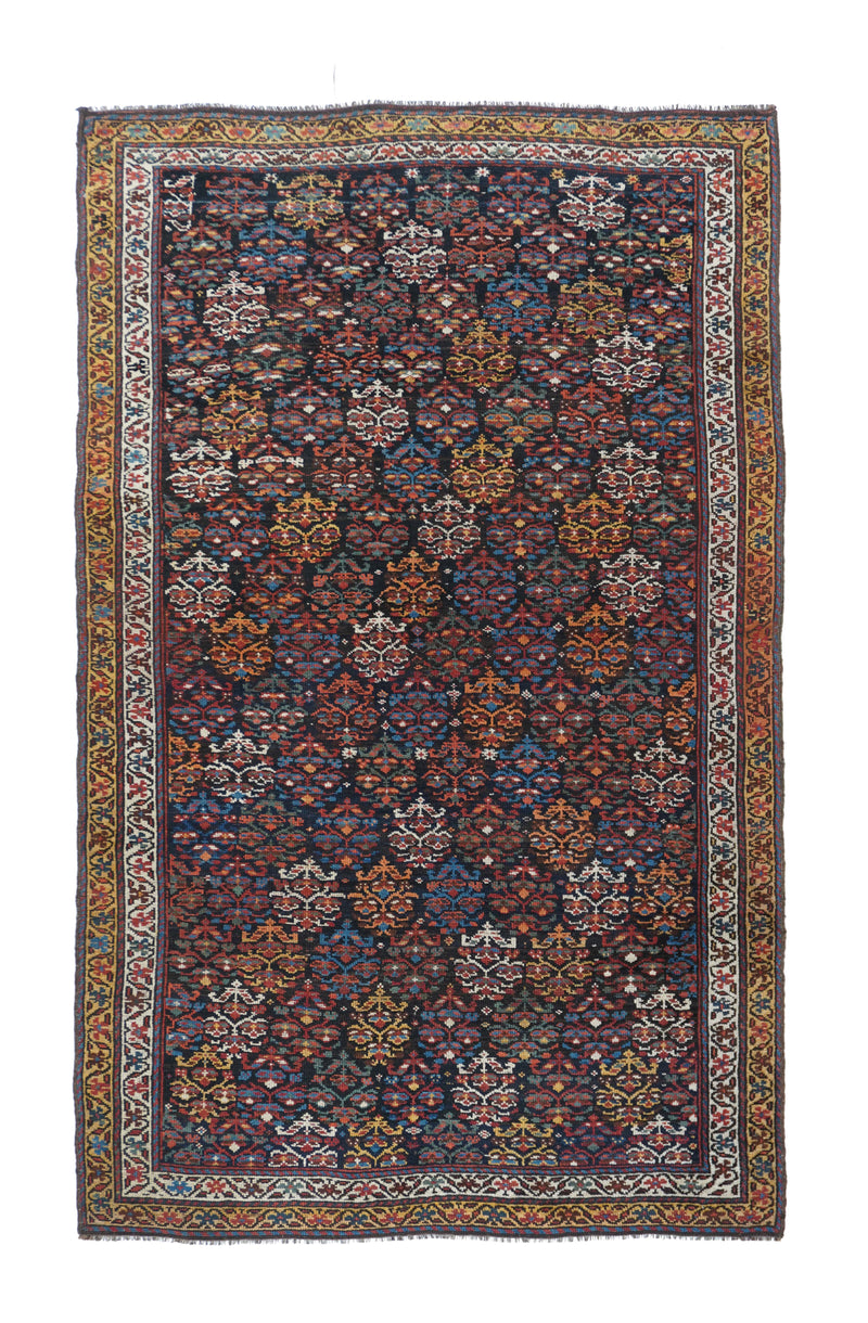 Persia Kurdish Wool on wool 4'7''x7'6''