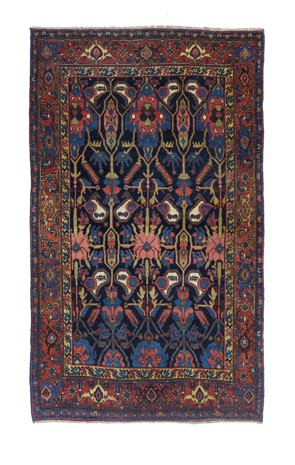 Persia Bidjar Wool on wool 4'1''x6'11''