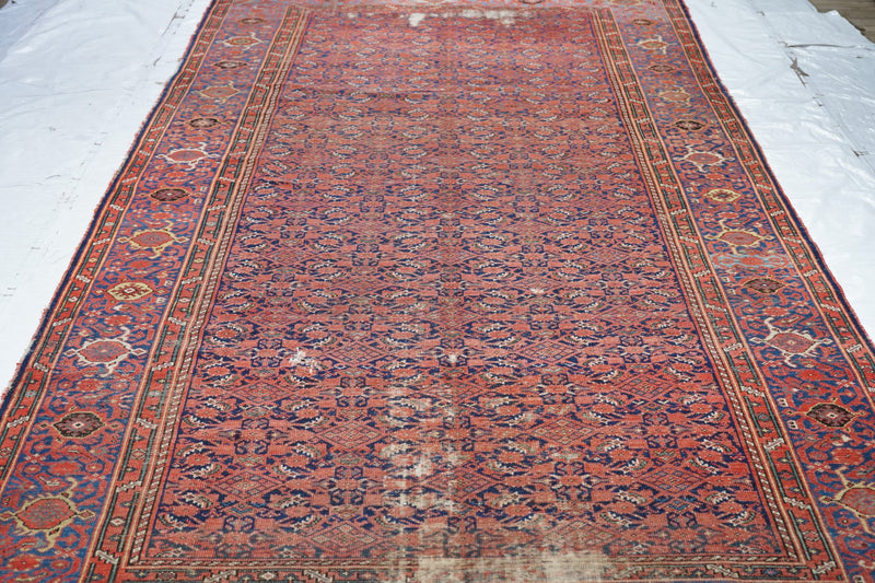 Antique Malayer Rug 6'6'' x 12'8''