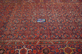 Antique Malayer Rug 6'6'' x 12'8''