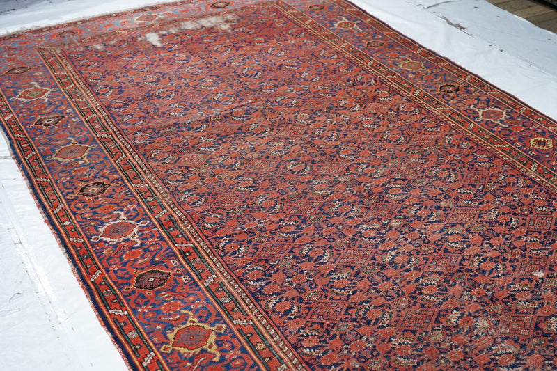 Antique Malayer Rug 6'6'' x 12'8''