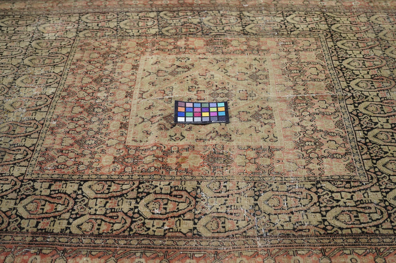 Antique Senneh Rug 3'3'' x 5'6''