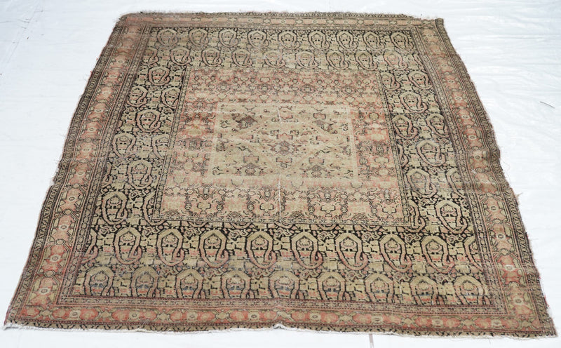 Antique Senneh Rug 3'3'' x 5'6''