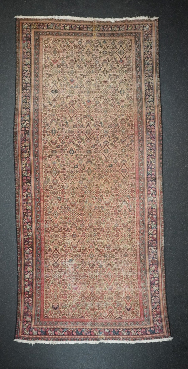 Persia Malayer Wool on Cotton 5'9''x12'9''