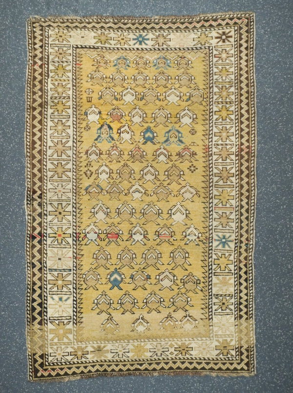 Caucasus Shirvan Wool on Cotton 3'5''x5'2''