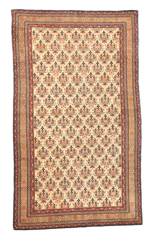 Persia Malayer Wool on Cotton 3'4''x5'8''
