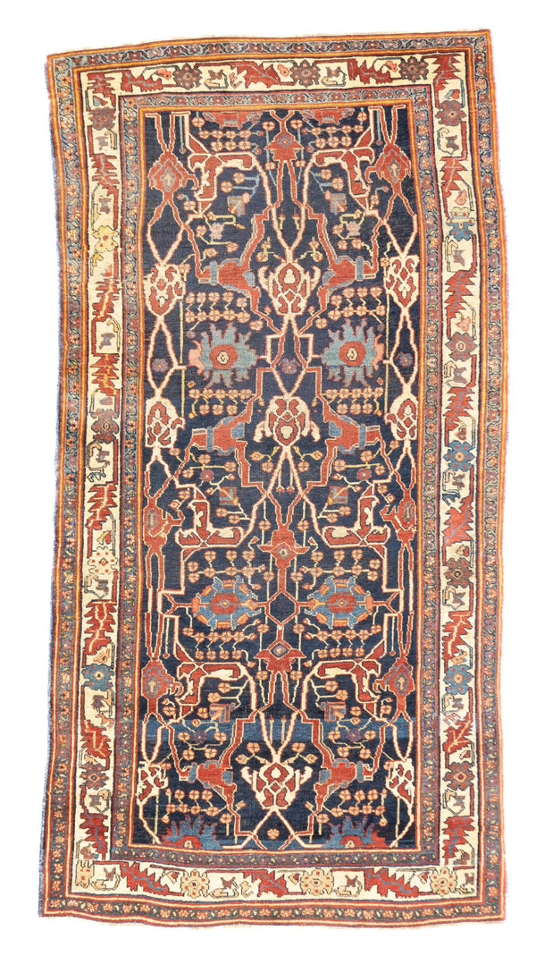 Persia Bidjar Wool on wool 5'7''x10'11''