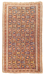 Persia Afshar Wool on wool 5'x8'11''